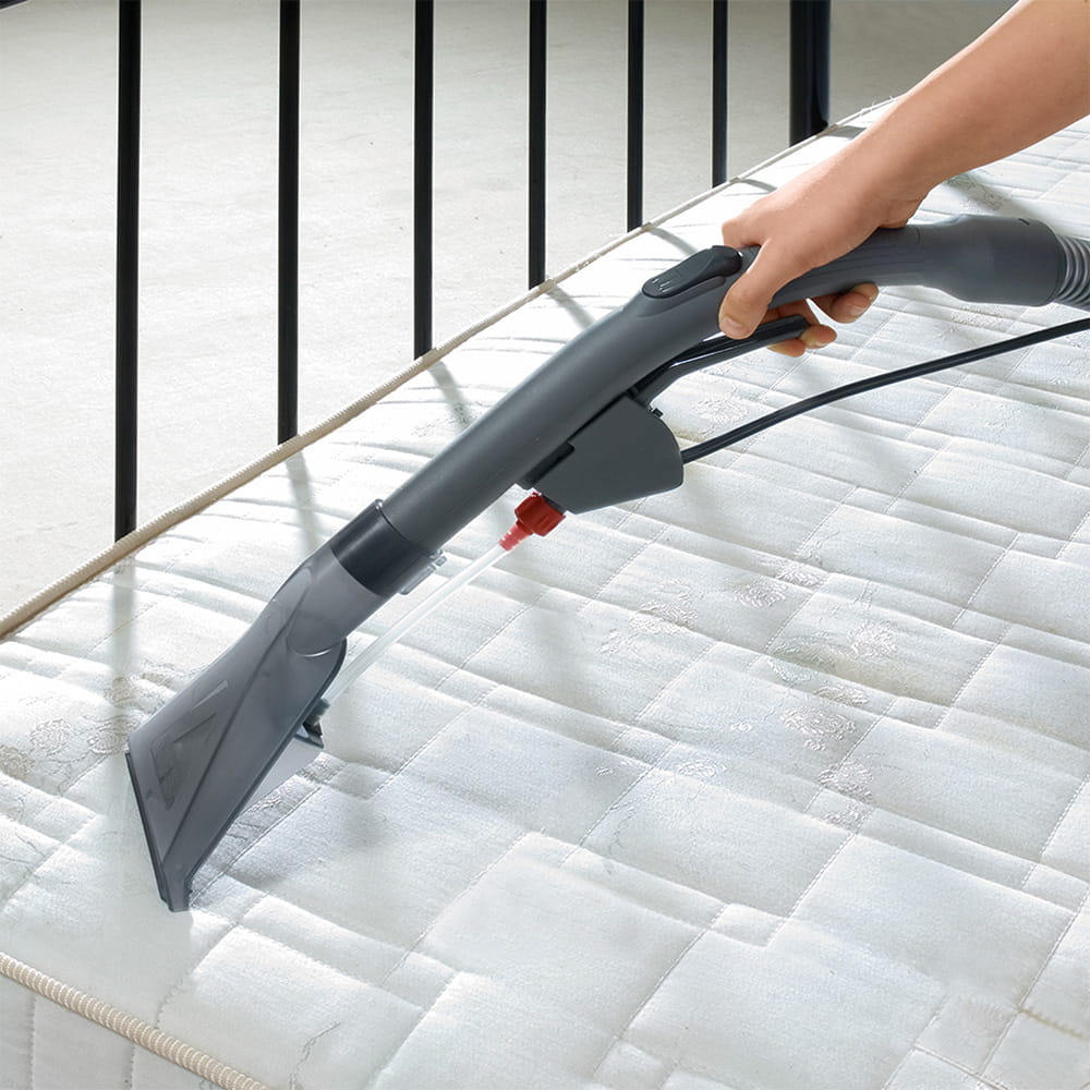 Jaki dobry odkurzacz do domu wybrać i na co zwrócić uwagę?